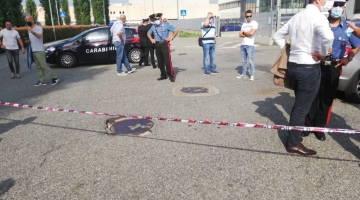 Novara, camion investe e uccide sindacalista durante una manifestazione