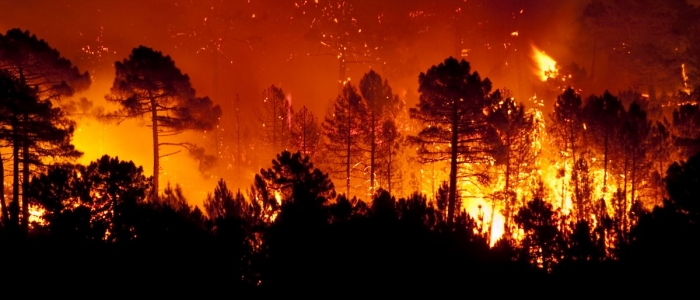 Incendi in Sicilia, Draghi firma il decreto sulla mobilitazione nazionale