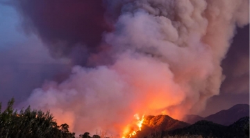 Incendi, la Protezione Civile lancia l'allarme a causa del caldo