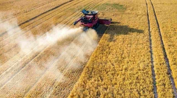 Mercato del grano, Coldiretti: “Costi di produzione aumentati del 500%”