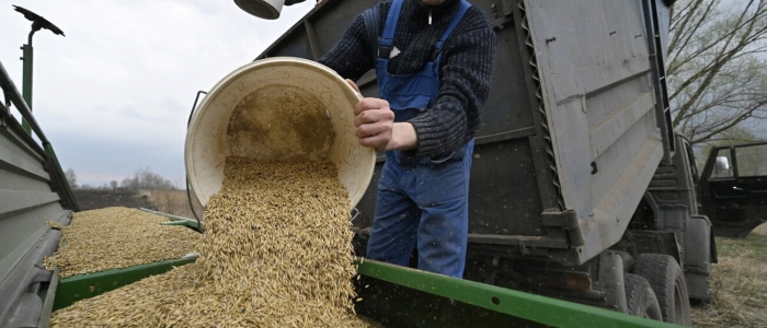 Da Mosca pronti a trattare sulla fornitura di grano all’Ucraina