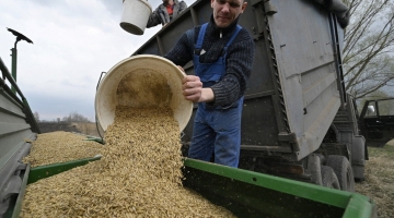 Da Mosca pronti a trattare sulla fornitura di grano all’Ucraina