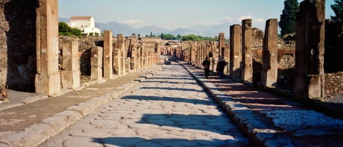 Pompei, trovata una tartaruga incredibilmente conservata