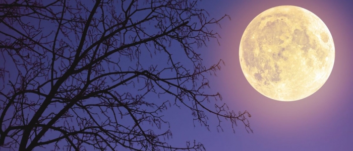 In cielo la “Superluna del cervo”, visibile questa sera fino alle alle 20