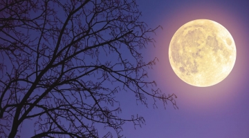 In cielo la “Superluna del cervo”, visibile questa sera fino alle alle 20