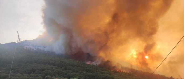 Madrid in fiamme, distrutto il parco nazionale di Monfragüe