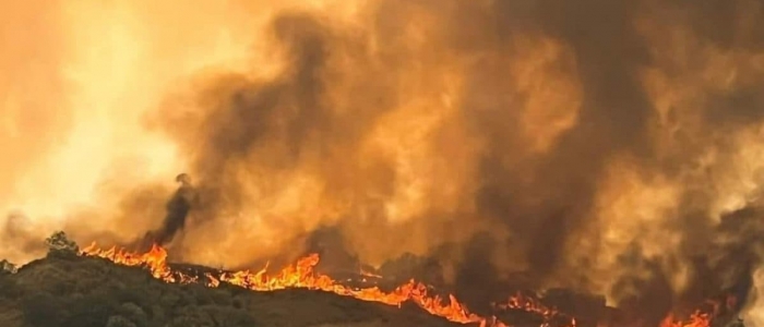 Incendio in Maremma, non ancora domate le fiamme a Cinigiano