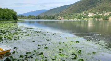 Treviso, bimba rifugiata ucraina annega nel lago