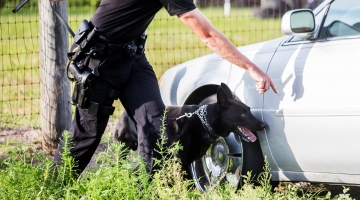 Trento, continuano le ricerche della ragazza di 18 anni scomparsa