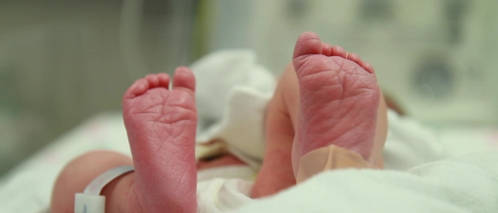 Catania, dimessa la prima bimba nata da utero trapiantato