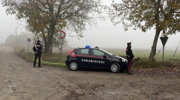 Novellara, resti umani vicino al casolare dove viveva Saman