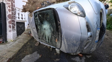 Casamicciola, cane liberato dopo tre giorni nell’auto del padrone