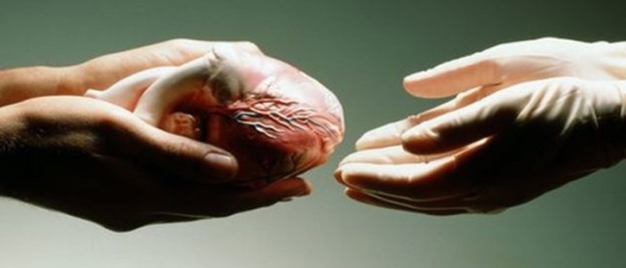 Donazione organi, sempre più italiani sono favorevoli