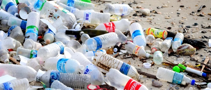 Inquinamento da plastica, il Wwf lancia l’allarme