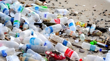 Inquinamento da plastica, il Wwf lancia l’allarme