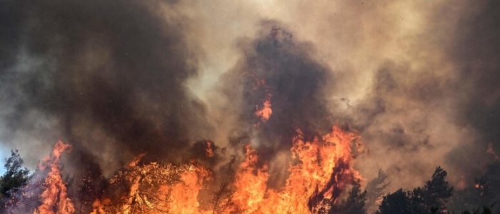 Incendio in Grecia, 20 morti e 81mila ettari di terreno bruciati