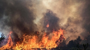 Incendio in Grecia, 20 morti e 81mila ettari di terreno bruciati