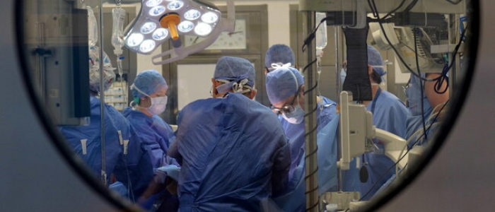Novara, doppio trapianto di reni per una madre e un figlio