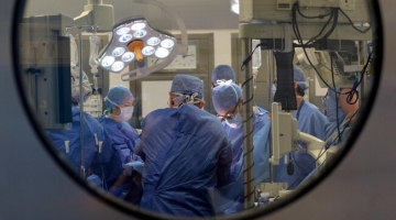 Boston, primo trapianto di rene di maiale su un paziente in vita