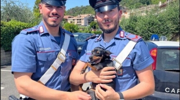 Roma, cane cade in un tombino: salvato dai carabinieri