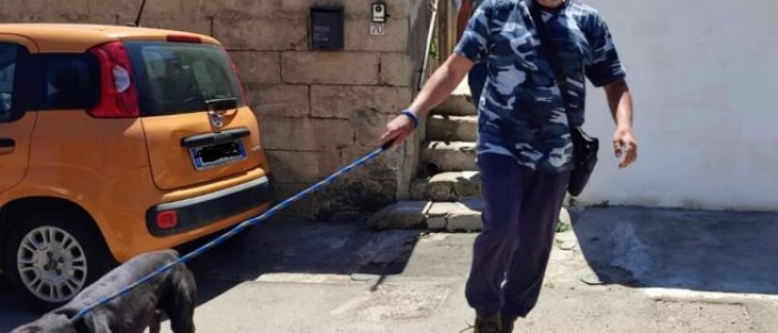 Lecce, morta la 97enne sbranata in casa dal cane del nipote