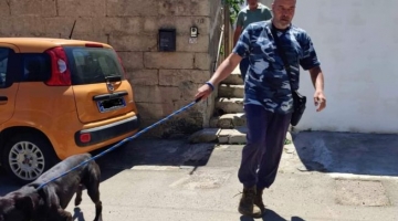 Lecce, morta la 97enne sbranata in casa dal cane del nipote