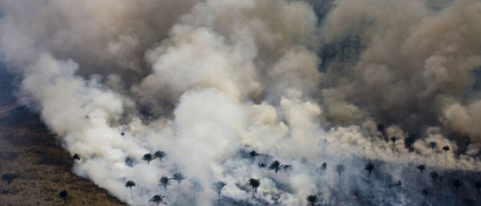 Nel 2024 in Amazzonia il maggior numero di incendi degli ultimi 20 anni