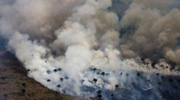 Nel 2024 in Amazzonia il maggior numero di incendi degli ultimi 20 anni