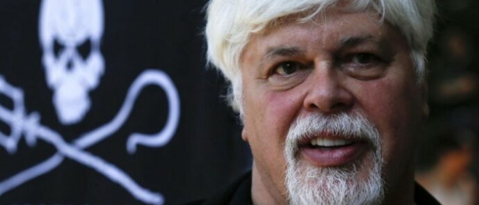 Groenlandia, arrestato l’ambientalista Paul Watson: rischia l’estradizione in Giappone