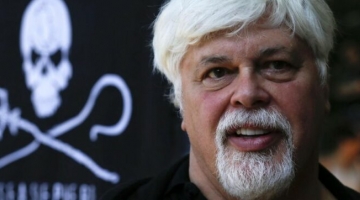 Groenlandia, arrestato l’ambientalista Paul Watson: rischia l’estradizione in Giappone