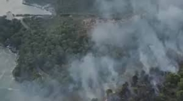 Grosso incendio a Vieste: chiusa la strada provinciale, turisti evacuati