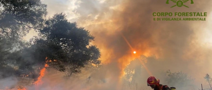 Incendio nel Nuorese, fiamme spente dopo 48 ore: bruciati 800 ettari