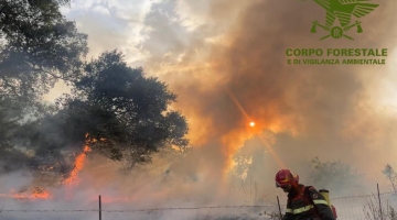 Incendio nel Nuorese, fiamme spente dopo 48 ore: bruciati 800 ettari