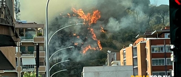 Roma, incendio a Monte Mario: alta colonna di fumo nero vicino alla città giudiziaria