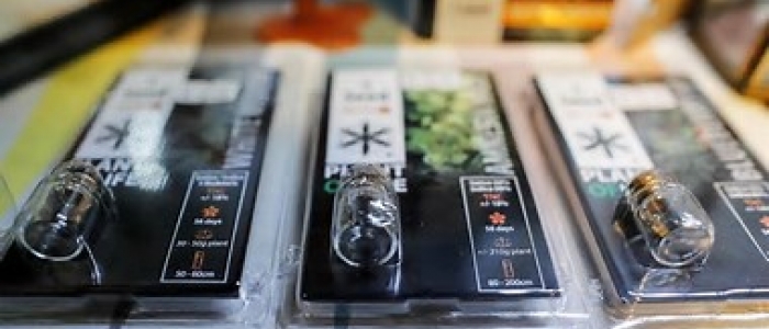 Ddl sicurezza, seduta fiume: arriva la stretta sulla cannabis | Via libera alle bodycam per gli agenti, Molteni: "Risultato storico per la polizia"