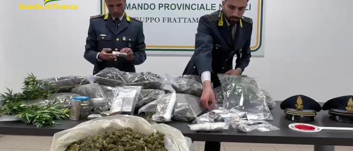 GDF NAPOLI: SEQUESTRATA UNA PIANTAGIONE DI CANAPA INDIANA E OLTRE 50 KG DI MARIJUANA GIÀ ESSICCATA