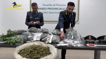 GDF NAPOLI: SEQUESTRATA UNA PIANTAGIONE DI CANAPA INDIANA E OLTRE 50 KG DI MARIJUANA GIÀ ESSICCATA