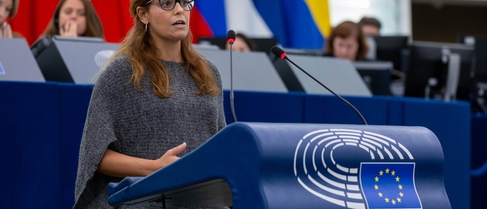 L'Ungheria chiede la revoca dell'immunità per Ilaria Salis: "Non sei martire ma delinquente" | L'eurodeputata: "Ue difenda lo stato di diritto"