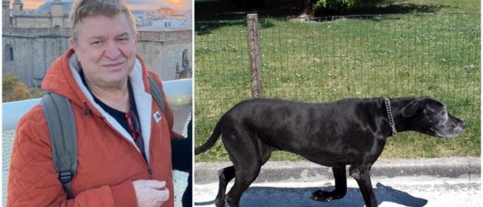 Veterinario trovato morto nel Milanese, nessuna autopsia: "Sbranato da due dei suoi 12 alani mentre ne curava uno"