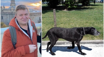 Veterinario trovato morto nel Milanese, nessuna autopsia: "Sbranato da due dei suoi 12 alani mentre ne curava uno"