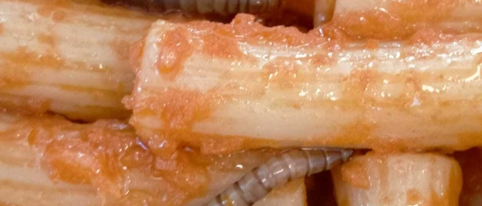 Vermi nella pasta a scuola nel Trevigiano: i bambini salvati dalle maestre