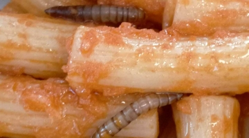 Vermi nella pasta a scuola nel Trevigiano: i bambini salvati dalle maestre