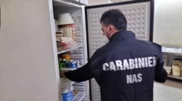 Topi morti e blatte in laboratorio, chiusa pasticceria a Grosseto
