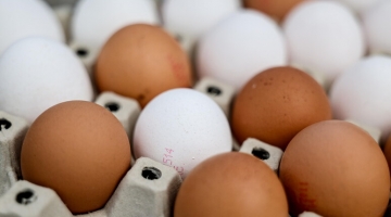 Pasqua, pranzo in famiglia più "salato": 100 milioni di spesa in più rispetto allo scorso anno