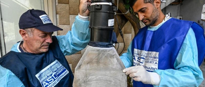 West Nile, cresce l'allarme: si stima che i casi siano già 10mila, picco dopo Ferragosto