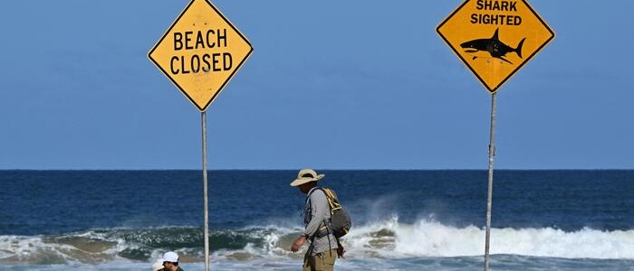 Allarme in Australia, tre attacchi di squali in due giorni: chiuse le spiagge di Sydney