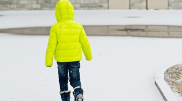 Belluno, la denuncia: "Bimbo lasciato a piedi dal bus perch&eacute; non aveva il biglietto da 10 euro" | Sospeso il conducente