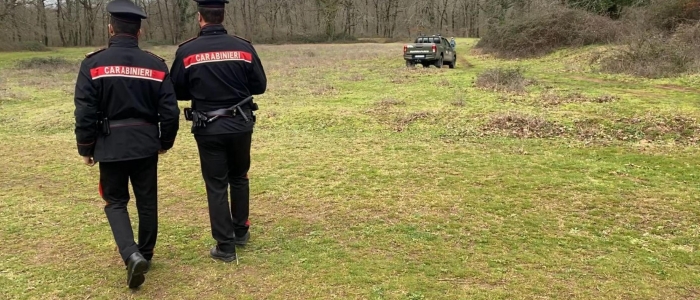 Sbranato da tre rottweiler, condannata la coppia proprietaria dei cani