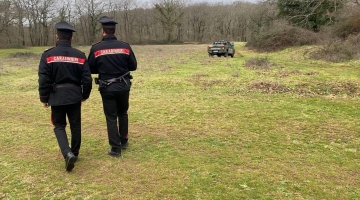 Sbranato da tre rottweiler, condannata la coppia proprietaria dei cani