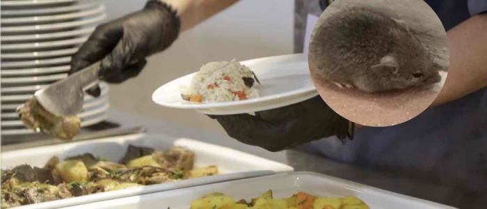 Napoli, topo morto nella pentola alla mensa di una scuola